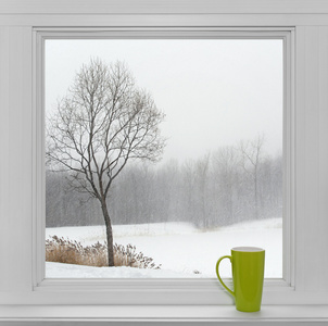 通过窗口和绿杯看到冬天风景