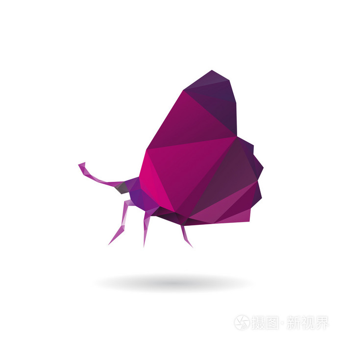 一个白色的背景上孤立的蝴蝶抽象