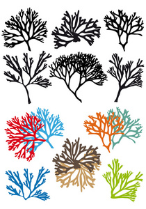 珊瑚暗礁,向量组照片