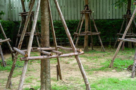 室外公园苗圃期间木材支撑的树木照片