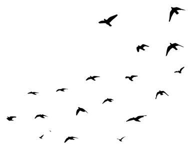 飞鸟剪影图片