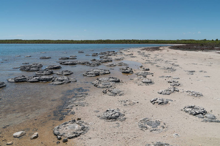 Nambung 国家公园，西澳大利亚