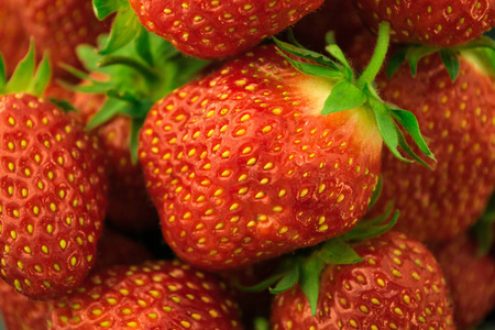 新鲜红草莓