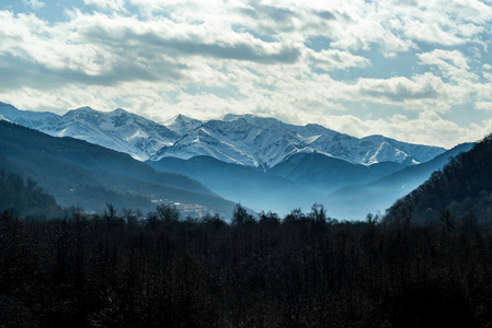 带针叶林的白雪皑皑的冬山