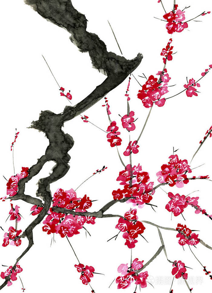 开花树的树枝.樱花粉红色的花朵.水彩和墨水插图在风格的墨-e, u-罪.