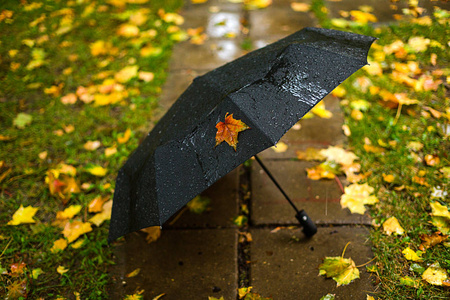 雨伞图片唯美忧伤图片