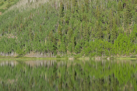 夏季科罗拉多荒野湖泊中的风景倒影