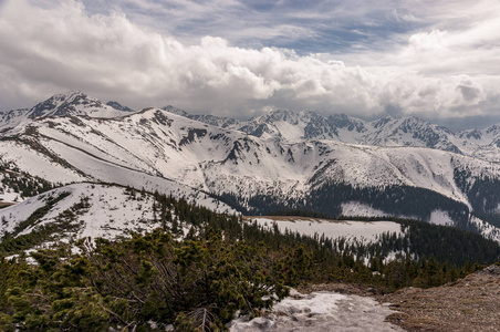 西部 Tatra 山春季景观