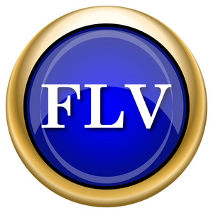 flv 图标