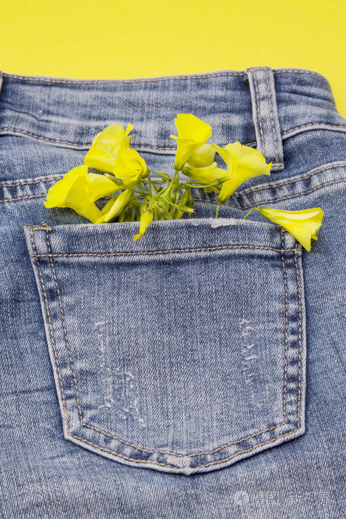 蓝色牛仔裤口袋里的黄色野花