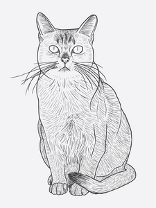 一起在户外玩在公园里.嘟嘟,手的素描画,涂抹.