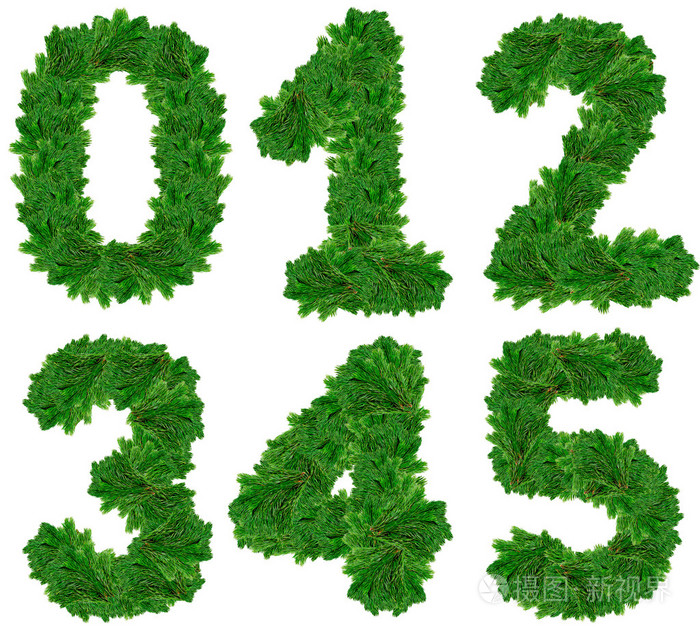 组的数字圣诞树