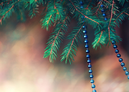 冷杉的树枝上的圣诞装饰
