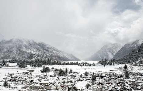 雪景观图片