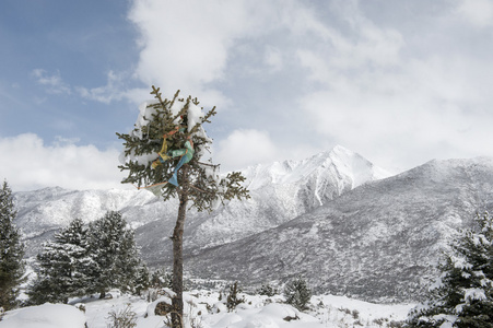 雪景观