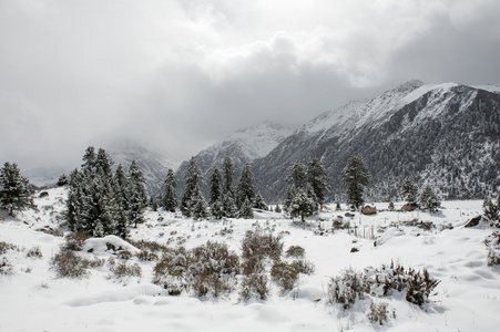 雪景观