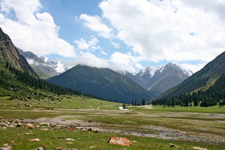 田北俊议员山山脉，吉尔吉斯斯坦，dzhuku 谷