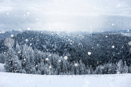 冬季景观与下雪的树木和雪花。圣诞概念明信片