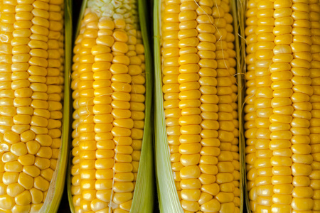 生鲜玉米, 食品背景