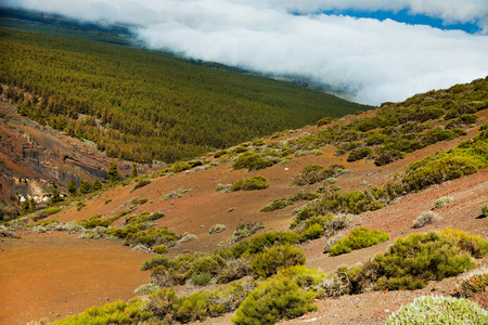 Teide 国家公园的 Teide 和熔岩风景, Teide 国家公园的口, 西班牙, 加那利群岛的岩石岩景观