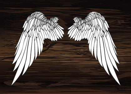 翅膀.在木质背景上的矢量插图。黑白相间