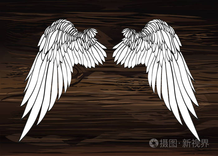 插画 翅膀.在木质背景上的矢量插图.黑白相间.eps