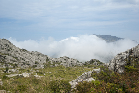 塞拉德 tramuntana