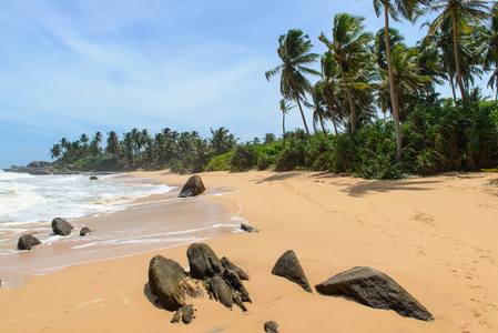 斯里兰卡。西海岸。海岸线的海滩
