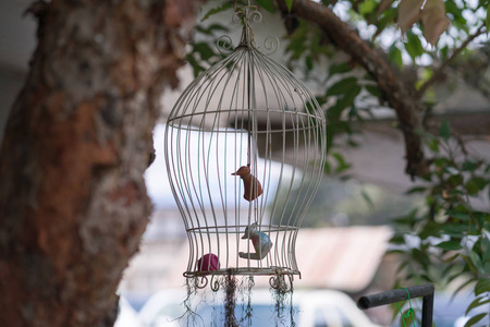 花园鸟笼中的鸟雕像图片