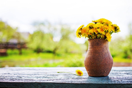 新鲜的黄色雏菊花束在木桌户外