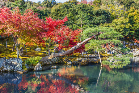 Tenryuji Sogenchi 池塘花园在京都的教科文组织世界遗产照片 正版商用图片06oiqv 摄图新视界