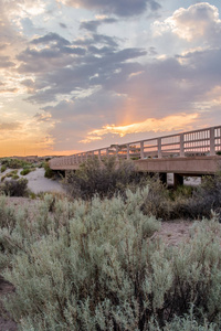 沙漠中的桥日落
