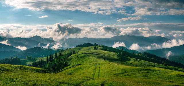 高山上清晨狂野自然的惊险全景