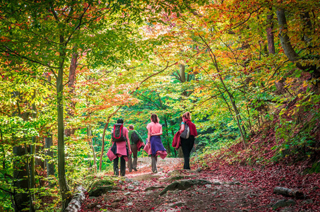 秋天在 Cozia, 喀尔巴阡山脉, 罗马尼亚。年轻女子在森林里漫步, 欣赏秋天的色彩