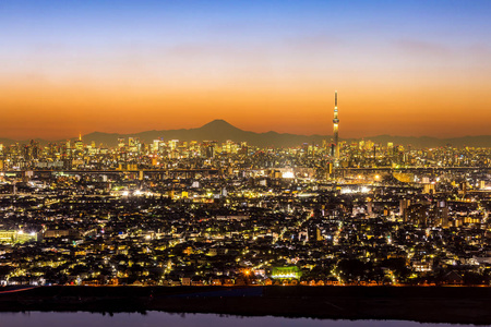 东京市和山富士的鸟瞰图