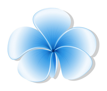 一朵五瓣蓝色照片