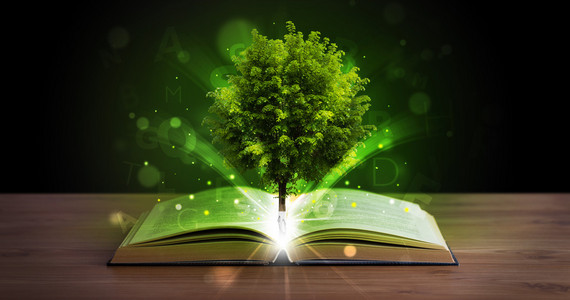 神奇的绿树和光线一起打开的书