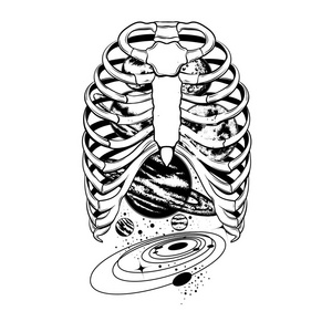 肋骨篮图片-肋骨篮素材-肋骨篮插画-摄图新视界