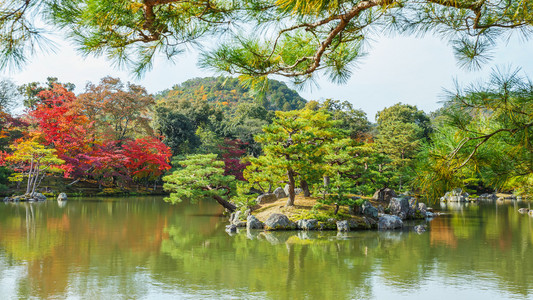 在京都的金阁寺的镜子池塘