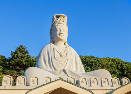 观世音菩萨 (观音) 在 ryozen 观音在京都照片