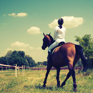 骑脖子马和骑手照片