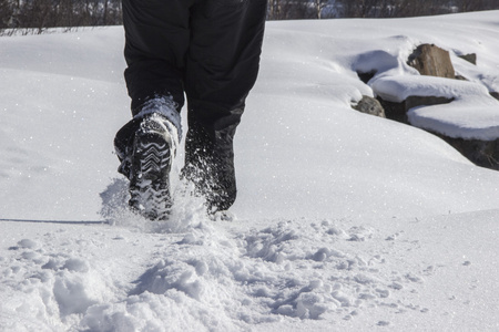 下雪行走图片