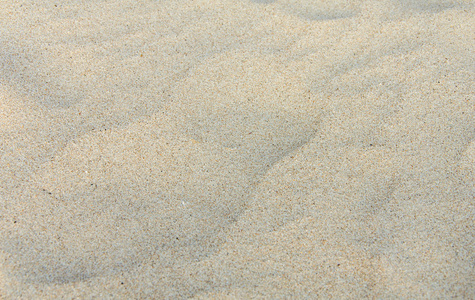 沙丘上海滩为背景