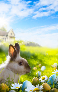 艺术五彩缤纷的复活节彩蛋和兔子在绿色草地上