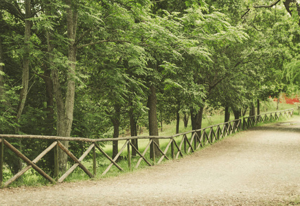 在树木繁茂的区域, 用栏杆分隔森林小径的照片