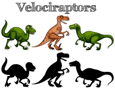 白色背景上的 Velociraptors 和剪影