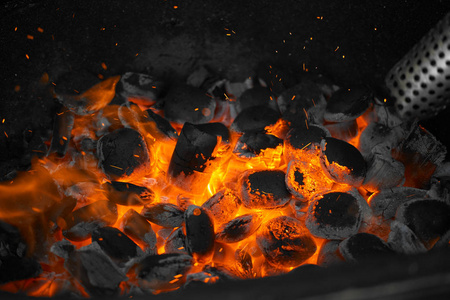 温暖的壁炉旁，有许多树准备烧烤