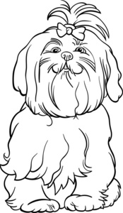 混合的马尔济斯犬图画书的马尔济斯犬漫画照片