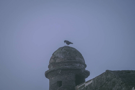 站在塔上的恐怖的黑鸟