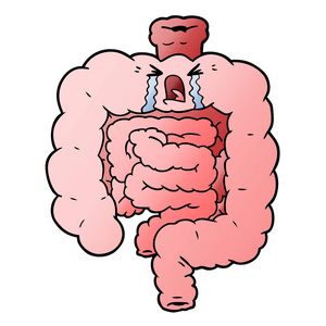 手绘肠道卡通肠的矢量图解照片